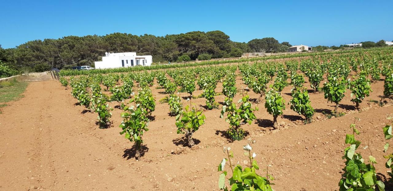 Villa Ses Vinas De Cas Baixero à La Mola Extérieur photo
